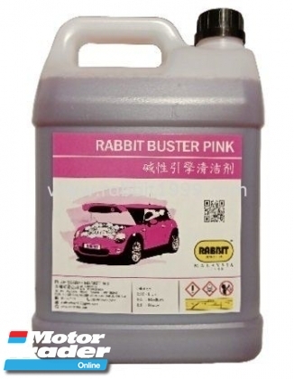 RABBIT BUSTER PINK Engine & Transmission > Engine