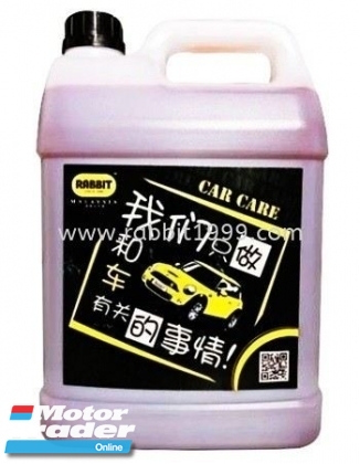 RABBIT BIKE ENGINE WASH Engine & Transmission > Engine