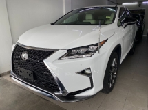 2019 雷克萨斯 RX300 F SPORT SUN ROOF POWER BOOT 3LED 摄像头保修