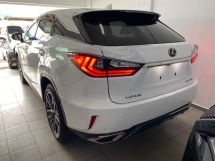 2019 雷克萨斯 RX300 F SPORT SUN ROOF POWER BOOT 3LED 摄像头保修