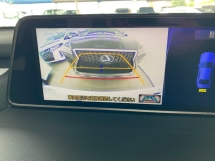 2019 雷克萨斯 RX300 F SPORT SUN ROOF POWER BOOT 3LED 摄像头保修