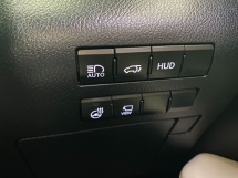 2019 雷克萨斯 RX300 F SPORT SUN ROOF POWER BOOT 3LED 摄像头保修