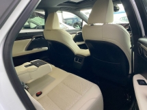 2019 雷克萨斯 RX300 F SPORT SUN ROOF POWER BOOT 3LED 摄像头保修