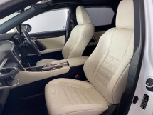 2019 雷克萨斯 RX300 F SPORT SUN ROOF POWER BOOT 3LED 摄像头保修
