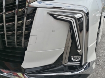 2021 丰田ALPHARD 2.5 S TYPE GOLD Modelister 天窗 DIM BSM 等级 4.5 ((( 自由 5 YRS保修 )))