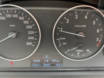 2015 BMW 3 SIRI 316I CKD Rekod Perkhidmatan Penuh PERCUMA 2 tahun waranti