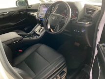 2019 TOYOTA VELLFIRE 2.5 ZG Modelista 套件天窗 3LED 电源引导未注册