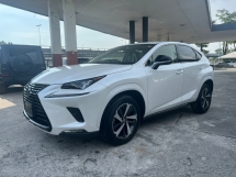 2018 LEXUS NX300 2.0 BLACK SEQUENCE /3 EYE LED /UNREG