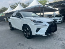 2018 LEXUS NX300 2.0 BLACK SEQUENCE /3 EYE LED /UNREG