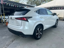 2018 LEXUS NX300 2.0 BLACK SEQUENCE /3 EYE LED /UNREG