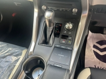 2018 LEXUS NX300 2.0 BLACK SEQUENCE /3 EYE LED /UNREG