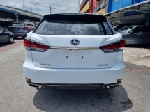 2021 雷克萨斯 RX300 F- 运动型 2.0cc 越野车 (CBU) (自由 5 年份) 联合国注册信息系统
