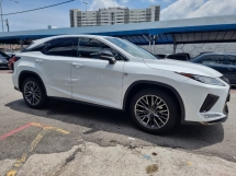 2021 雷克萨斯 RX300 F- 运动型 2.0cc 越野车 (CBU) (自由 5 年份) 联合国注册信息系统
