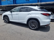 2021 雷克萨斯 RX300 F- 运动型 2.0cc 越野车 (CBU) (自由 5 年份) 联合国注册信息系统