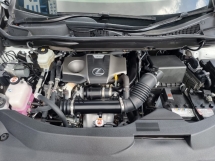 2021 雷克萨斯 RX300 F- 运动型 2.0cc 越野车 (CBU) (自由 5 年份) 联合国注册信息系统