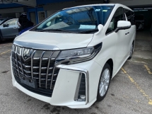 2020 TOYOTA ALPHARD 2.5 S Unreg Sunroof Power But 360 Jaminan Kamera