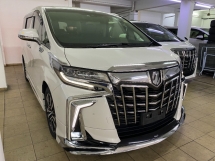 2020 TOYOTA ALPHARD 2.5 SC 3LED MODELISTA B/KIT JBL P/BOOT 360 Kamera