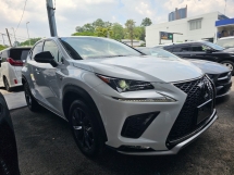 2019 LEXUS NX 300 F Sport Two Tone Seats Surround camera Power boot Push Start Lane Keep Assist Precrash Unreg