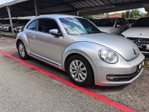 2013 VOLKSWAGEN BEETLE 2013 大众甲壳虫 1.2 TFSI双门轿车 (一个) CBU