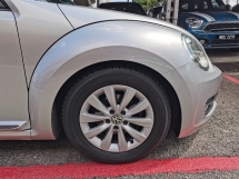 2013 VOLKSWAGEN BEETLE 2013 大众甲壳虫 1.2 TFSI双门轿车 (一个) CBU