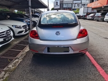 2013 VOLKSWAGEN BEETLE 2013 大众甲壳虫 1.2 TFSI双门轿车 (一个) CBU