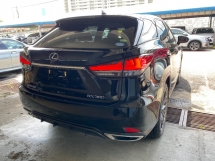 2020 雷克萨斯 RX300 F SPORT 全新改款 Unreg 3LED 电源启动摄像头