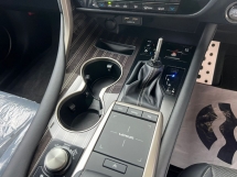 2020 LEXUS RX 300T 2.0 F SPORT /HUD /PRE-CRASH /LKA /4WD /UNREG