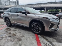 2022 雷克萨斯 RX300 F-SPORT 2.0cc (自由 5 年车保修) 注销