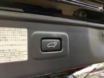 2021 TOYOTA ALPHARD 2.5 S Type Gold Modelista Kit Sunroof Power But