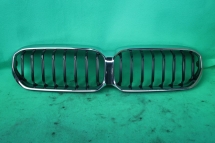 BMW G30 FRONT GRILLE Other Accesories 