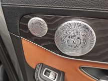 2019 梅赛德斯-奔驰 C 级 梅赛德斯-奔驰 C300 2.0 AMG LINE (一个) CKD 2019