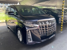 2019 TOYOTA ALPHARD 2.5 S UNREG 8Seater 2P/Doors Camera WARANTI PERCUMA