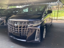 2019 TOYOTA ALPHARD 2.5 S UNREG 8Seater 2P/Doors Camera WARANTI PERCUMA