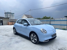 2023 GREAT WALL ORA GOOD CAT 400 PRO 8 Years Warranty FREE Charger Free Service