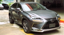 2021 LEXUS NX300 CHICK  SPICE 2.0