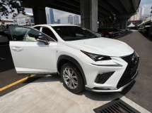 2019 LEXUS NX300 2.0 F SPORT