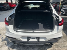 2019 BMW X4 2.0 M SPORT/JAPAN SPEC /PANAROMIC ROOF /HUD /UNREG