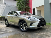 2018 LEXUS NX300 2.0 iPACKAGE BSM HUD PANORAMIC ROOF RED LEATHER 