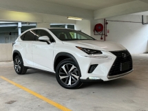 2018 LEXUS NX300 2.0 i package SUNROOF 3LED BSM CHEAPEST OFFER 