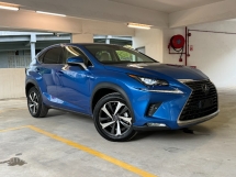 2019 LEXUS NX300 2.0 LUXURY VERSION L 3LED WHITE LEATHER UNREG BSM