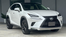 2018 LEXUS NX300 2.0 VERSION L Unregister 