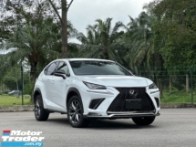 2019 LEXUS NX300 2.0 F SPORT