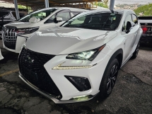 2019 LEXUS NX300 2.0 F Sport Package 3 LED Moonroof Blind Spot Monitor Back Left Camera Power Boot High Grade Car