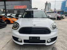 2019 MINI Countryman 1.5 TURBO  /JAPAN SPEC /MULTI-FUNCTION STEERING 