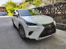 2020 LEXUS NX300 I-Package High Spec. Genuine Mileage. Grade 4.5. 10-Years Warranty. PowerBoot. BSM. Pre Collision.