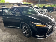 2019 LEXUS RX300 Luxury FACELIFT Ori 360 Camera Lapa BROWN Unreg