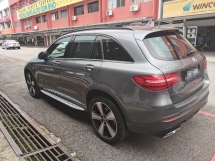 2019 MERCEDES-BENZ GLC 2019 奔驰GLC200 2.0 (一个) CKD