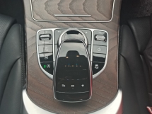 2019 MERCEDES-BENZ GLC 2019 奔驰GLC200 2.0 (一个) CKD