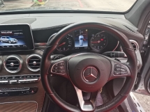 2019 MERCEDES-BENZ GLC 2019 奔驰GLC200 2.0 (一个) CKD