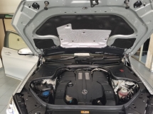 2019 奔驰S级 2019/21 梅赛德斯-奔驰 S560 e 插电式混合动力车 3.0 (一个) CKD